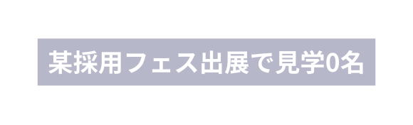 某採用フェス出展で見学0名